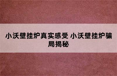 小沃壁挂炉真实感受 小沃壁挂炉骗局揭秘